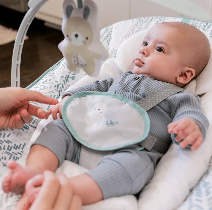 Ingenuity- Leagan si Balansoar Cozy 3 in 1 Grow with me - Image 4