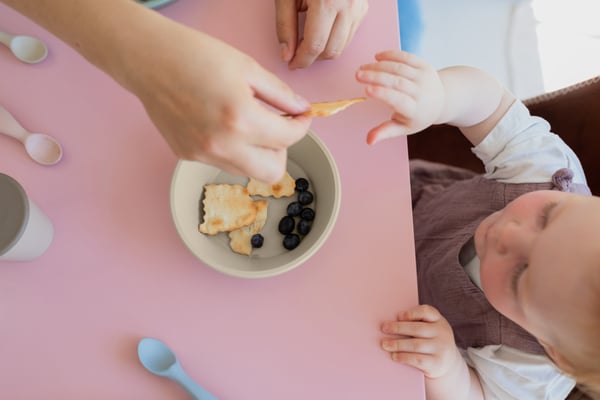 BIBS - Set pentru diversificare si hranire, Blush - Image 4