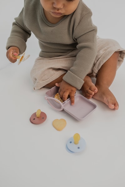 BIBS - Cutie multifunctionala pentru depozitare suzete, Dusky Lilac - Image 6