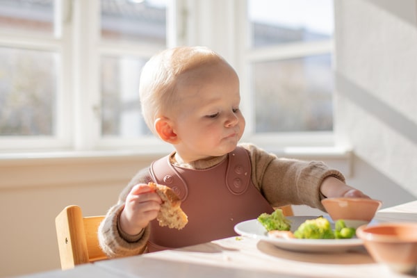 BIBS - Bavetica pentru diversificare si hranire, Sage - Image 4